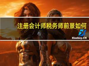 注册会计师税务师前景如何