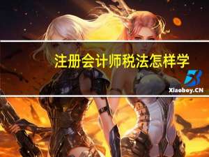 注册会计师税法怎样学