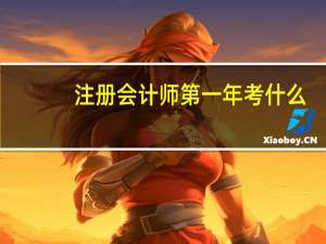 注册会计师第一年考什么
