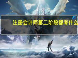注册会计师第二阶段都考什么