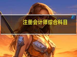 注册会计师综合科目