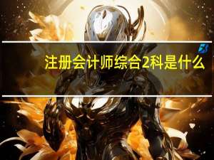 注册会计师综合2科是什么