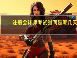 注册会计师考试时间是哪几天