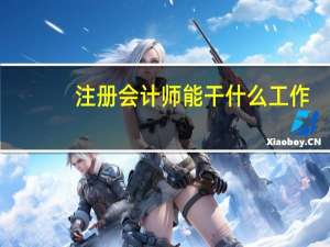注册会计师能干什么工作