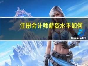 注册会计师薪资水平如何