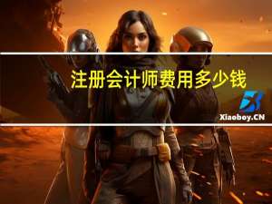 注册会计师费用多少钱
