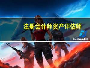 注册会计师资产评估师