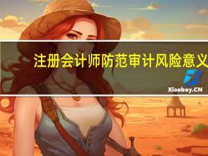 注册会计师防范审计风险意义