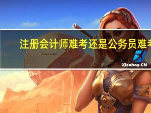 注册会计师难考还是公务员难考