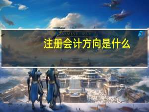 注册会计方向是什么