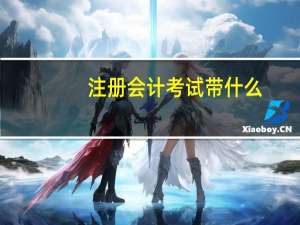 注册会计考试带什么