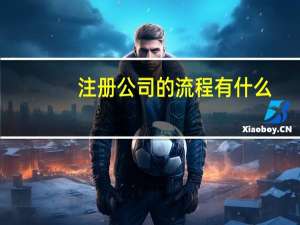 注册公司的流程有什么