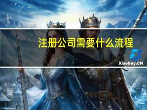注册公司需要什么流程（注册公司需要什么）