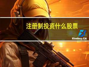 注册制投资什么股票