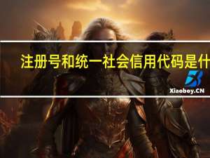 注册号和统一社会信用代码是什么（注册号和统一社会信用代码是一样的）