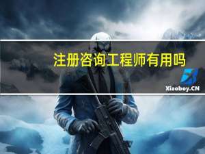 注册咨询工程师有用吗