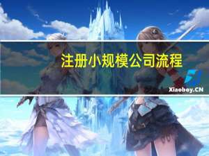 注册小规模公司流程
