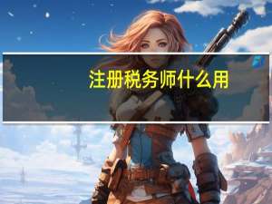 注册税务师什么用