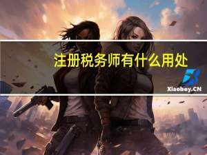 注册税务师有什么用处