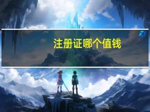注册证哪个值钱