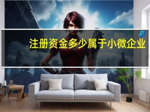 注册资金多少属于小微企业