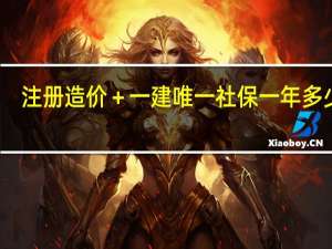 注册造价＋一建唯一社保一年多少钱