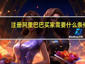 注册阿里巴巴买家需要什么条件（注册阿里巴巴卖家需要什么条件）