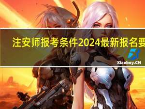 注安师报考条件2024最新报名要求