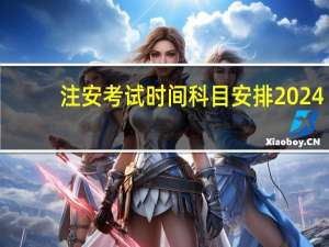 注安考试时间科目安排2024
