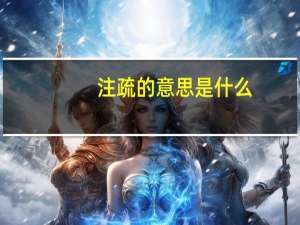注疏的意思是什么