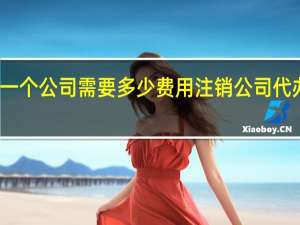注销一个公司需要多少费用 注销公司代办费多少钱