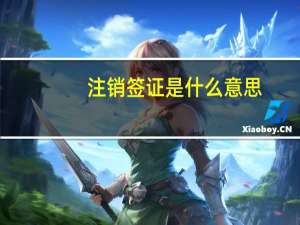 注销签证是什么意思