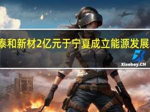 泰和新材2亿元于宁夏成立能源发展子公司