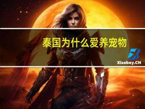 泰国为什么爱养宠物