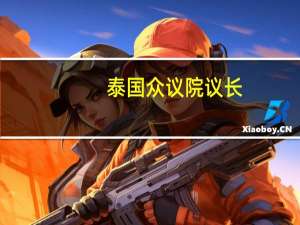 泰国众议院议长：将于8月22日举行总理选举