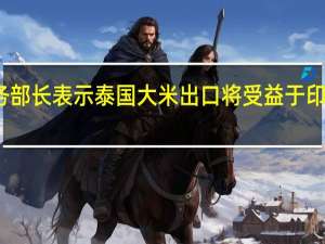 泰国商务部长表示泰国大米出口将受益于印度的出口禁令