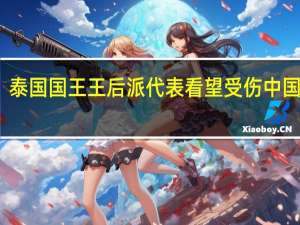 泰国国王王后派代表看望受伤中国公民