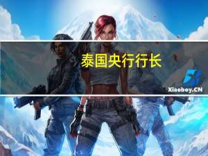 泰国央行行长：泰铢的汇率非常波动