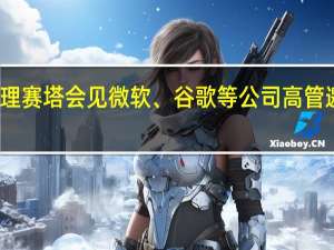 泰国总理赛塔会见微软、谷歌等公司高管 邀请对泰投资
