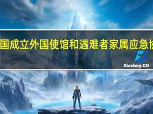 泰国成立外国使馆和遇难者家属应急协调中心