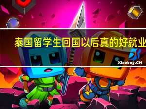 泰国留学生回国以后真的好就业吗