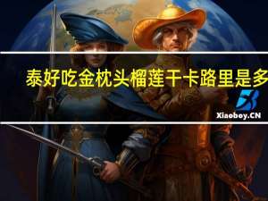 泰好吃 金枕头榴莲干卡路里是多少