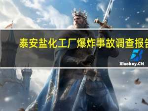 泰安盐化工厂爆炸事故调查报告（921奥堡工厂爆炸事故简介）