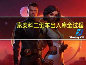 泰安科二倒车出入库全过程（takee手机）