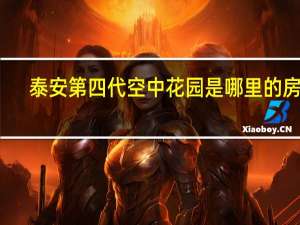 泰安第四代空中花园是哪里的房子