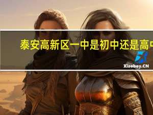 泰安高新区一中是初中还是高中