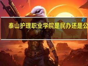 泰山护理职业学院是民办还是公办