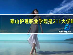 泰山护理职业学院是211大学吗
