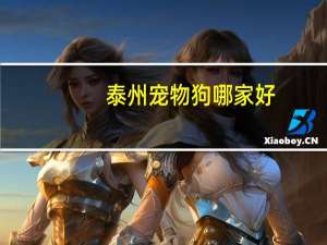 泰州宠物狗哪家好
