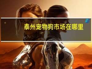 泰州宠物狗市场在哪里